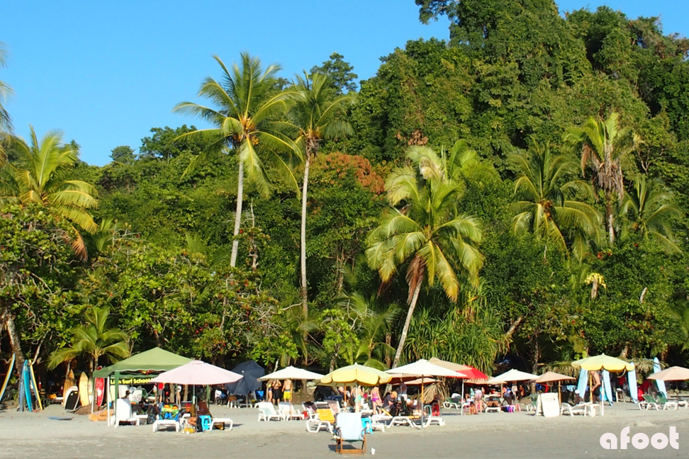 Costa Rica: Første stop Manuel Antonio